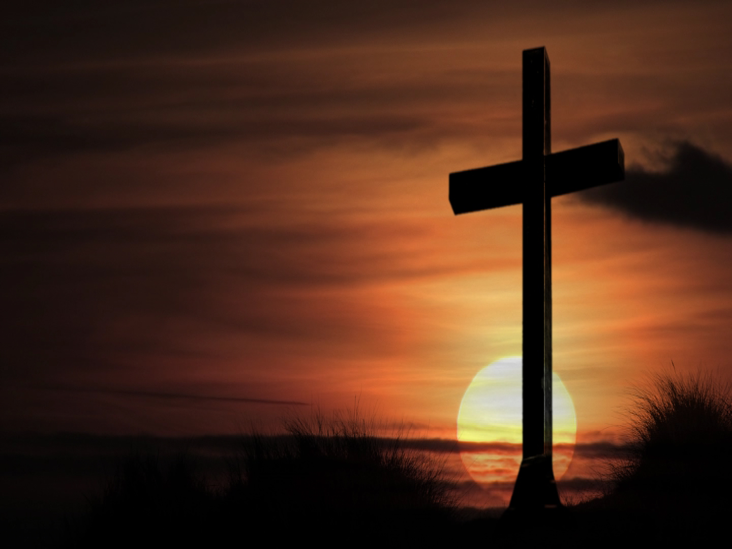 Read more about the article What is Love